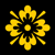 :iconkb-photography: