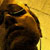 :iconkbam17: