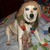 :iconkbird13: