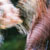 :iconKbrig573: