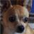 :iconkbrooks09: