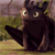 :iconkc-creations: