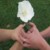 :iconkcjo: