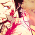:iconkcmao: