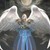 :iconkcoo1: