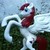 :iconkcpon3: