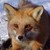 :iconkcsk1998: