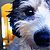 :iconkcspicaturz: