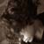 :iconkea939: