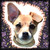 :iconkealakc: