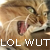 :iconkearei: