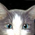 :iconkeatomic: