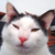 :iconkechat67: