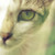 :iconkedaitayar09: