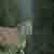 :iconkedercro: