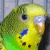 :iconkeelykeet3: