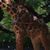 :iconkeen-interest: