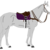 :iconkeeneland: