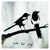 :iconkeepfitandhavefun: