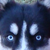 :iconkeepthedream: