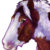 :iconkeetay:
