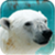 :iconkeetonh:
