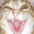 :iconkefkaofbng: