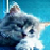 :iconkeihime: