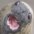 :iconkeiichitomosan: