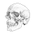 :iconKeikasama: