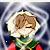 :iconkeiko-keket:
