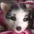 :iconkeiko124: