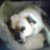 keiko4568 :iconkeiko4568: