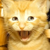 :iconkeinhiphopfan: