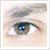 :iconkeitaseb: