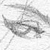 :iconkeith-o-tron: