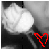 :iconkekumbaz:
