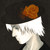 :iconkeleo: