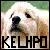 :iconkelhp: