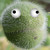 :iconkelimon: