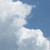 :iconkellariperhonen:
