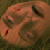 :iconkelleycakes:
