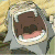 :iconkelliestar: