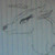 :iconkellisharks: