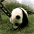 :iconkellpye: