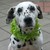 :iconkelly-a7x: