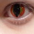 KellyGreeny :iconkellygreeny: