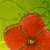 :iconkellyinwonderland: