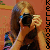 :iconkellynoso: