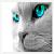 :iconkellyrebergen: